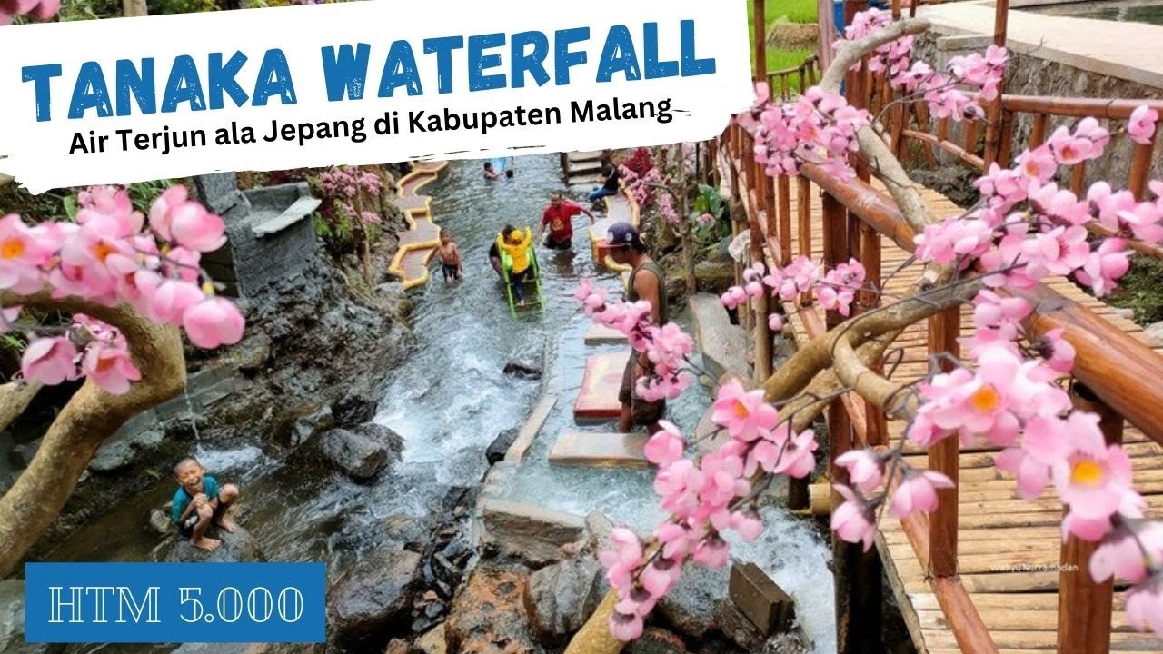 Wisata Air Terjun Tanaka: Petualangan Menakjubkan di Alam Indonesia